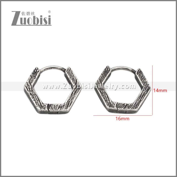 Stainless Steel Earring e002765