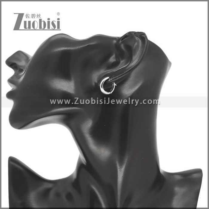 Stainless Steel Earring e002752