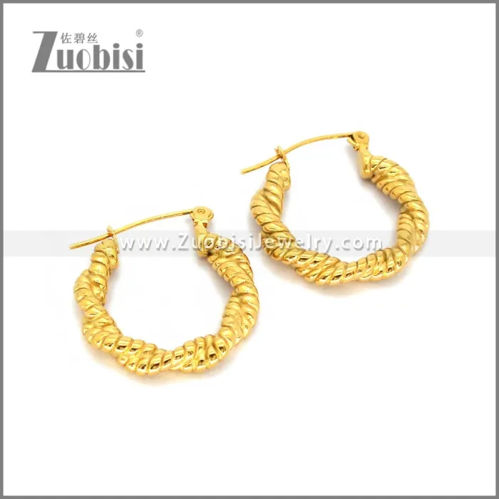 Stainless Steel Earring e002785G