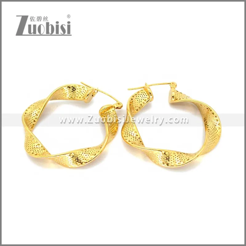 Stainless Steel Earring e002782G