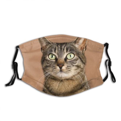 yanfind Humour Cat Kitty Cute Grey Vintage Beautiful Pet Eyes Closeup Fun Portrait Dust Washable Reusable Filter and Reusable Mouth Warm Windproof Cotton Face