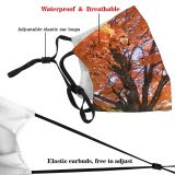 yanfind Natural Autumn Woody Leaves Landscape Maple Plant Fall Branch Leaf Tree Tree Dust Washable Reusable Filter and Reusable Mouth Warm Windproof Cotton Face