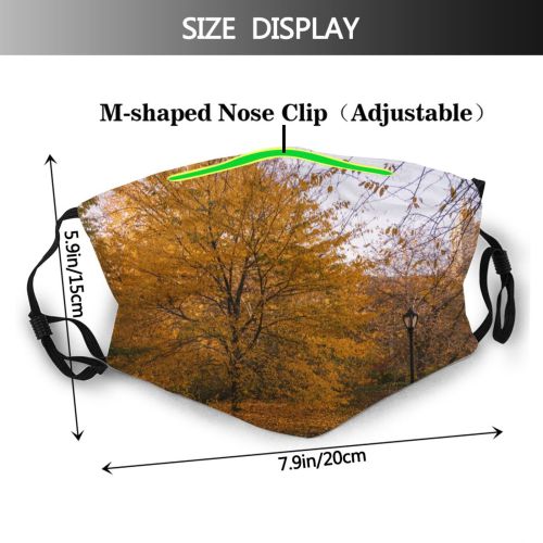 yanfind Idyllic Autumn Foliage Woodland Daylight Calm Golden Flora Park Way Forest Walkway Dust Washable Reusable Filter and Reusable Mouth Warm Windproof Cotton Face