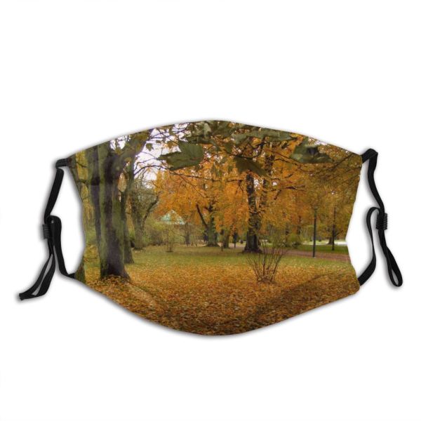 yanfind Deciduous Leaf Landscape Leaf Tree Tree Plant Natural Autumn Autumn Woodland Woody Dust Washable Reusable Filter and Reusable Mouth Warm Windproof Cotton Face
