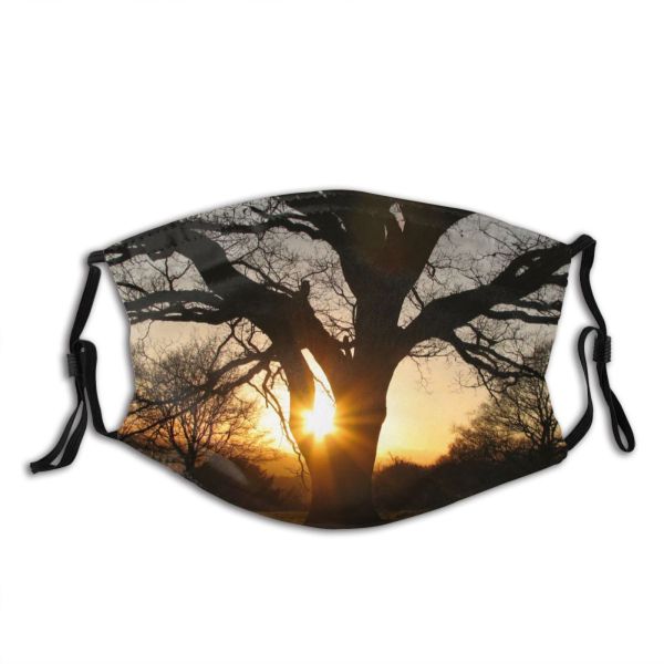 yanfind Natural Atmospheric Sun Autumn Woody Branch Sunset Landscape Sky Branch Sunlight Tree Dust Washable Reusable Filter and Reusable Mouth Warm Windproof Cotton Face