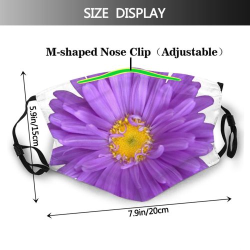 yanfind Plant Aster Alpine Plant Flower Violet Flowering Gerbera China Aster Flower Purple Dust Washable Reusable Filter and Reusable Mouth Warm Windproof Cotton Face
