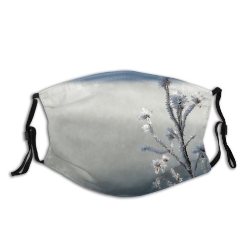 yanfind Winter Frost Spring Morning Snowflake Winter Holidays Quiet Sky Ice Branch Twig Dust Washable Reusable Filter and Reusable Mouth Warm Windproof Cotton Face