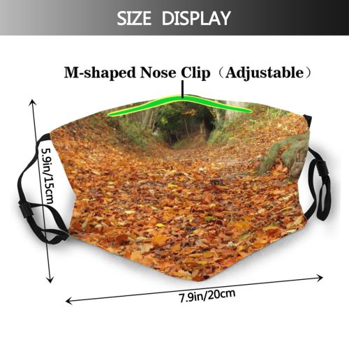 yanfind Path Natural Autumn Leaves Fallen Landscape Fall Wood Leaf Walk Forest Hardwood Dust Washable Reusable Filter and Reusable Mouth Warm Windproof Cotton Face