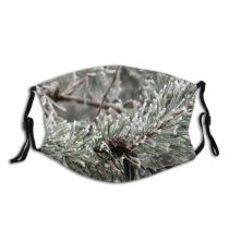 yanfind Ice Frost Coniferous Frozen Needle Tree Foreground Snow Branch Focus Fir Photographing Dust Washable Reusable Filter and Reusable Mouth Warm Windproof Cotton Face