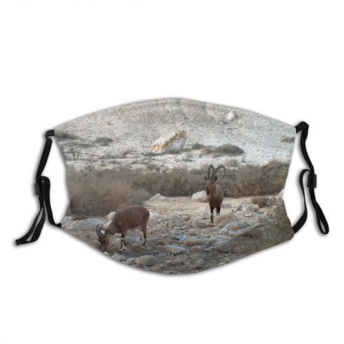 yanfind Goat Sheep Goats Ibex Mountain Cow Antelope Mountaingoat Fawn Barbary Family Bovine Dust Washable Reusable Filter and Reusable Mouth Warm Windproof Cotton Face
