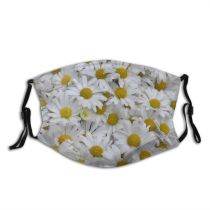 yanfind Daisy Chamomile Nobile Oxeye Colorful Fall Flowers Petal Flower Daisies Petals Camomile Dust Washable Reusable Filter and Reusable Mouth Warm Windproof Cotton Face