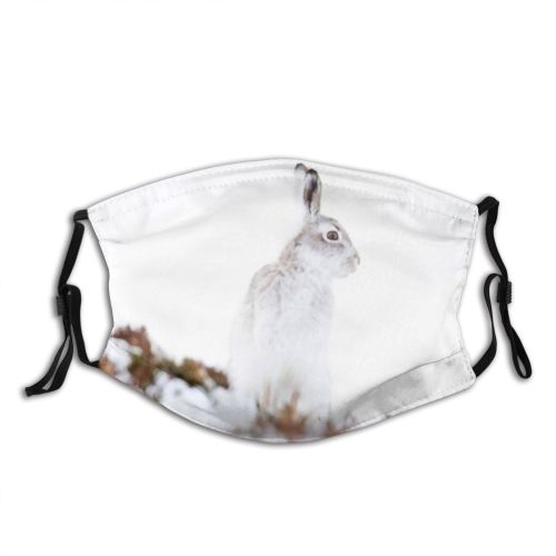 yanfind Cairngorms Coat Lagomorpha Rare Hare Rabbit Wild British Colours Scottish Timidus Fur Dust Washable Reusable Filter and Reusable Mouth Warm Windproof Cotton Face