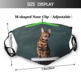 yanfind Happiness Young Striped Cat Kitty Cute Shorthair Leopard Bengal Carpet Curious Puss Dust Washable Reusable Filter and Reusable Mouth Warm Windproof Cotton Face