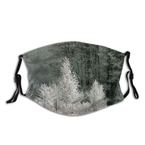 yanfind Winter Winter Natural Atmospheric Woody Landscape Plant Ice Snow Landscapes Tree Frost Dust Washable Reusable Filter and Reusable Mouth Warm Windproof Cotton Face