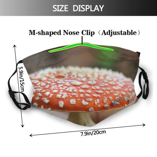 yanfind Mushroom Agaricomycetes Forest Organism Agaricus Agaric Medicinal Autumn Fungus Edible Mushroom Agaricaceae Dust Washable Reusable Filter and Reusable Mouth Warm Windproof Cotton Face