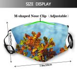 yanfind Spring Sky Autumn Woody Leaves Colours Sky Plant Fall Branch Flower Flowering Dust Washable Reusable Filter and Reusable Mouth Warm Windproof Cotton Face