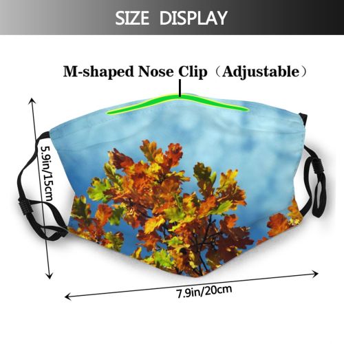 yanfind Spring Sky Autumn Woody Leaves Colours Sky Plant Fall Branch Flower Flowering Dust Washable Reusable Filter and Reusable Mouth Warm Windproof Cotton Face