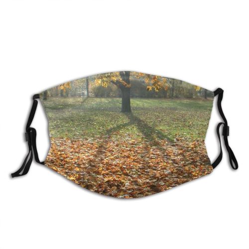 yanfind Deciduous Landscape Leaf Sunlight Fall Plant Tree Tree Autumn Natural Berlin Autumn Dust Washable Reusable Filter and Reusable Mouth Warm Windproof Cotton Face