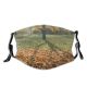yanfind Deciduous Landscape Leaf Sunlight Fall Plant Tree Tree Autumn Natural Berlin Autumn Dust Washable Reusable Filter and Reusable Mouth Warm Windproof Cotton Face
