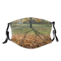 yanfind Deciduous Landscape Leaf Sunlight Fall Plant Tree Tree Autumn Natural Berlin Autumn Dust Washable Reusable Filter and Reusable Mouth Warm Windproof Cotton Face