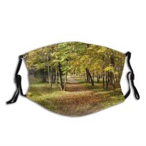 yanfind Path Natural Woody Landscape Sunlight Leaf Tree Autumn Park Leafs Deciduous Trees Dust Washable Reusable Filter and Reusable Mouth Warm Windproof Cotton Face