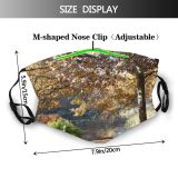 yanfind Stourhead Deciduous Wiltshire Landscape Sunlight Leaf Sky Fall Tree Plant Light Natural Dust Washable Reusable Filter and Reusable Mouth Warm Windproof Cotton Face