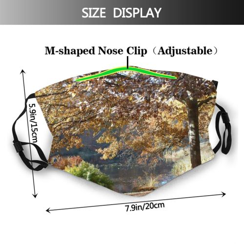 yanfind Stourhead Deciduous Wiltshire Landscape Sunlight Leaf Sky Fall Tree Plant Light Natural Dust Washable Reusable Filter and Reusable Mouth Warm Windproof Cotton Face