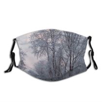 yanfind Landscape Sky Tree Plant Branch Frost Winter Natural Freezing Atmospheric Snow Woody Dust Washable Reusable Filter and Reusable Mouth Warm Windproof Cotton Face