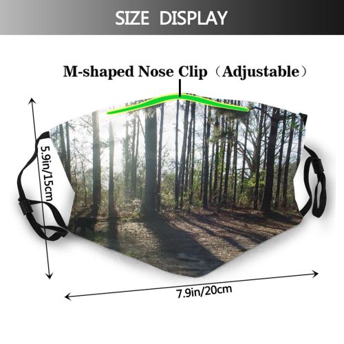yanfind Outdoors Woods Light Tree Sunlight Forest Shadows Old Growth Landscape Sunset Natural Dust Washable Reusable Filter and Reusable Mouth Warm Windproof Cotton Face
