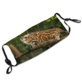 yanfind Garden Fur Hunter Little Cat Kitty Cute Striped Attention Nobody Watching Bengal Dust Washable Reusable Filter and Reusable Mouth Warm Windproof Cotton Face