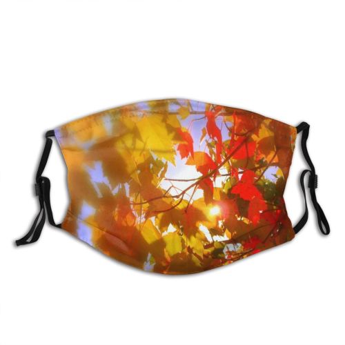 yanfind Leaves Maple Leaf Sunlight Leaf Colorful Sky Tree Branch Amber Sun Autumn Dust Washable Reusable Filter and Reusable Mouth Warm Windproof Cotton Face
