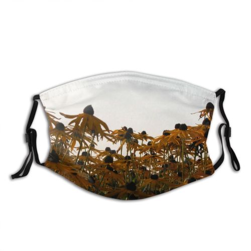 yanfind Lonely Old Autumn Landscape Sky Plant Flowers Soil Sunlight Leaf Palm Tree Dust Washable Reusable Filter and Reusable Mouth Warm Windproof Cotton Face