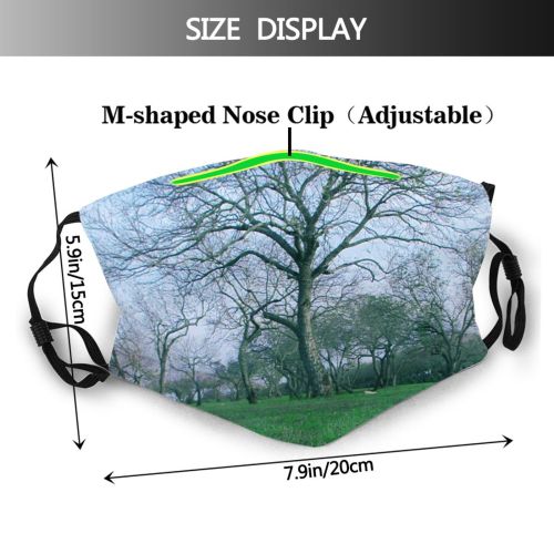 yanfind Dead Winter Lonely Scenery Sky Field Natural Woody Landscape Plant Meadow Pasture Dust Washable Reusable Filter and Reusable Mouth Warm Windproof Cotton Face