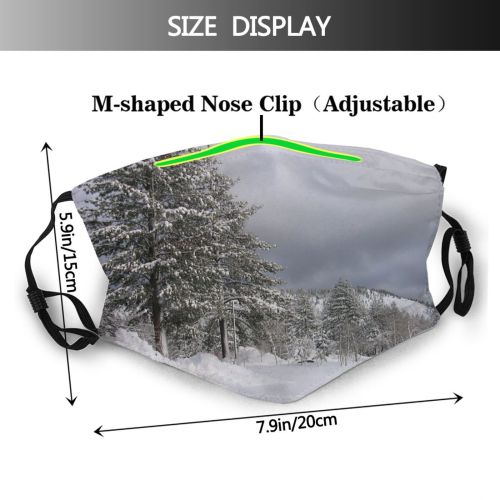 yanfind Geological Sky Trees Tree Plant Frost Winter Freezing Atmospheric Snow Woody Snow Dust Washable Reusable Filter and Reusable Mouth Warm Windproof Cotton Face