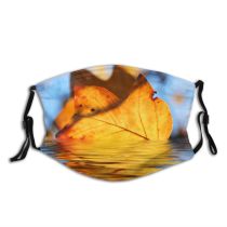 yanfind Gleam Shadows Glint Autumn Leaves Reflection Plant Desktop Leaf Leaf Tree Autumn Dust Washable Reusable Filter and Reusable Mouth Warm Windproof Cotton Face
