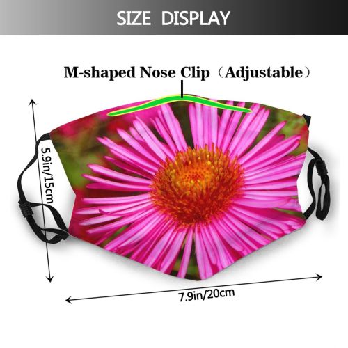 yanfind Plant Aster Bush Sky Flower Croatia China Flower Daisy Plant Ice Aster Dust Washable Reusable Filter and Reusable Mouth Warm Windproof Cotton Face
