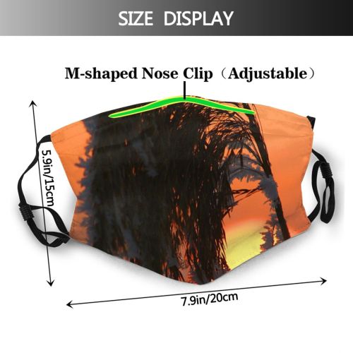 yanfind Winter Sunset Sunset Plant Sky Tree Plants Sun Seasons Dust Washable Reusable Filter and Reusable Mouth Warm Windproof Cotton Face