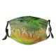 yanfind Temperate Texture Admu Natural Manila Autumn Busch Landscape Vegetation Broadleaf Wood Busches Dust Washable Reusable Filter and Reusable Mouth Warm Windproof Cotton Face