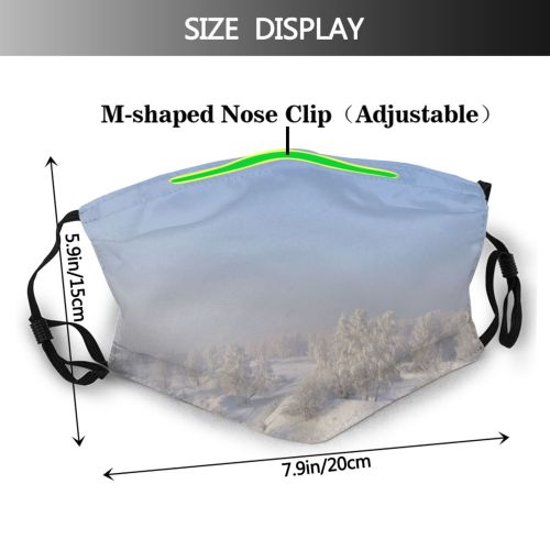 yanfind Winter Frozen Winter Atmospheric Wojkowice Cloud Sky Wood Poland Snow Forest Tree Dust Washable Reusable Filter and Reusable Mouth Warm Windproof Cotton Face