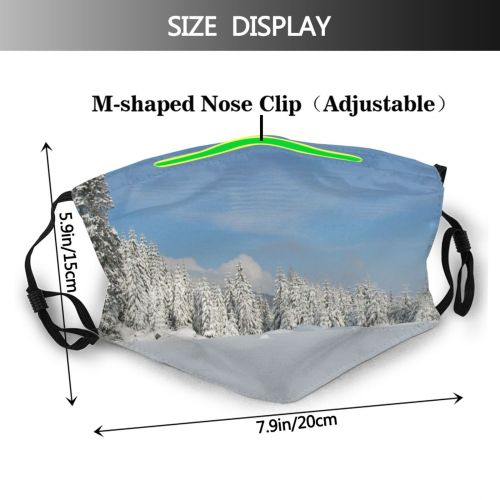 yanfind Pine Winter Fir Geological Sky Tree Plant Frost Winter Freezing Atmospheric Snow Dust Washable Reusable Filter and Reusable Mouth Warm Windproof Cotton Face