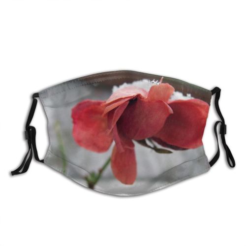 yanfind Dead Winter Alone Flower Frozen Frost Frostiness Freeze Lonely Stem Snowflake Grey Dust Washable Reusable Filter and Reusable Mouth Warm Windproof Cotton Face
