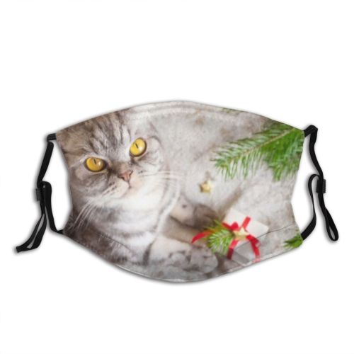 yanfind Comfort Congratulation Decor Cat Christmas Xmas Cozy Box Winter Present Year Stars Dust Washable Reusable Filter and Reusable Mouth Warm Windproof Cotton Face
