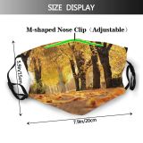 yanfind Idyllic Idyll Autumn Perspective Park Focus Mood Dawn Road Forest Walk Rest Dust Washable Reusable Filter and Reusable Mouth Warm Windproof Cotton Face