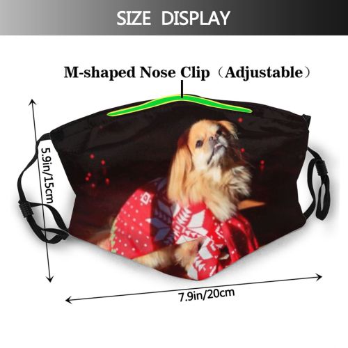 yanfind Isolated Santa Asian Christmas Cute Xmas Cozy Zodiac Winter Dog Year Puppy Dust Washable Reusable Filter and Reusable Mouth Warm Windproof Cotton Face
