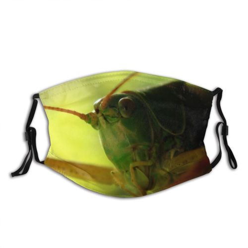 yanfind Grasshopper Creepy Like Insect Winged Jump Flying Cricket Organism Cricket Invertebrate Hop Dust Washable Reusable Filter and Reusable Mouth Warm Windproof Cotton Face