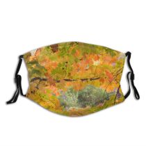yanfind Temperate Maples Pentax Fall Branches Woody D Branch Maple Plant Broadleaf Branch Dust Washable Reusable Filter and Reusable Mouth Warm Windproof Cotton Face