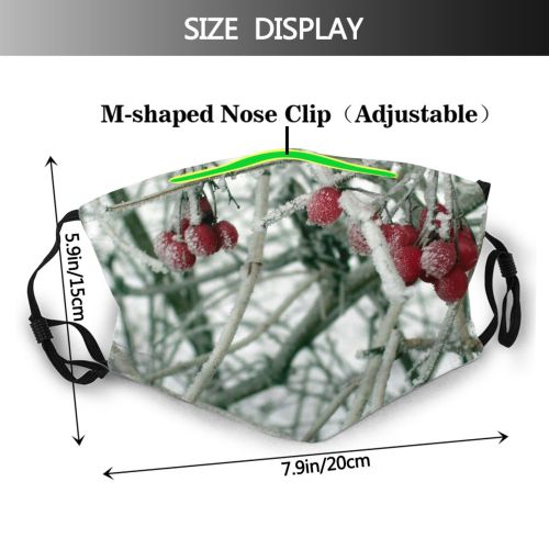 yanfind Winter Frozen Frost Berry Crisp Christmas Winter Berry Fruit Branches Woody Frosty Dust Washable Reusable Filter and Reusable Mouth Warm Windproof Cotton Face