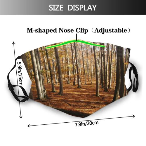 yanfind Natural Autumn Landscape Wood Forest Hardwood Leaf Northern Tree Forest Deciduous Trees Dust Washable Reusable Filter and Reusable Mouth Warm Windproof Cotton Face