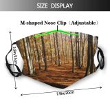 yanfind Natural Autumn Landscape Wood Forest Hardwood Leaf Northern Tree Forest Deciduous Trees Dust Washable Reusable Filter and Reusable Mouth Warm Windproof Cotton Face