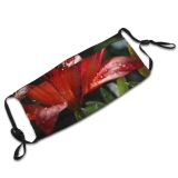 yanfind Lily Foxglove Plant Flowers Petal Flower Daylily Flowering Lilies Asiatic Lily Digitalis Dust Washable Reusable Filter and Reusable Mouth Warm Windproof Cotton Face